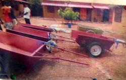 agriculture